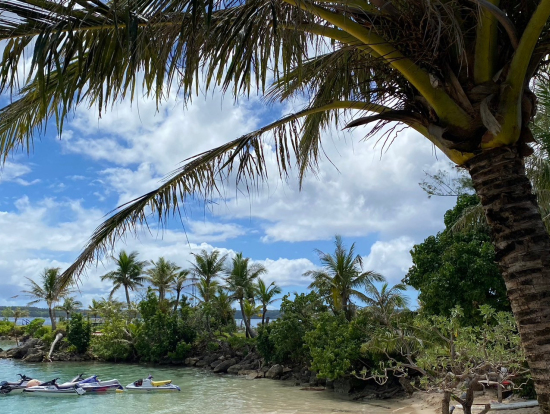 景色もキレイです