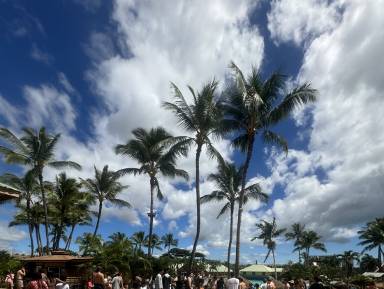 人賑わってました