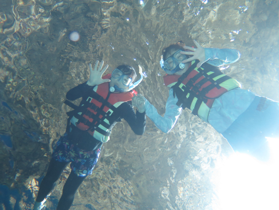 海の底からの撮影
