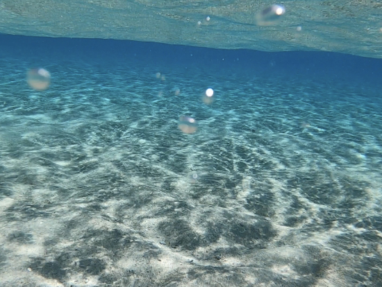 GoProで撮影した百合が浜の海の中