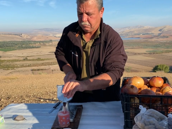 ザクロジュース