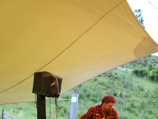 羊の刈り上げショー