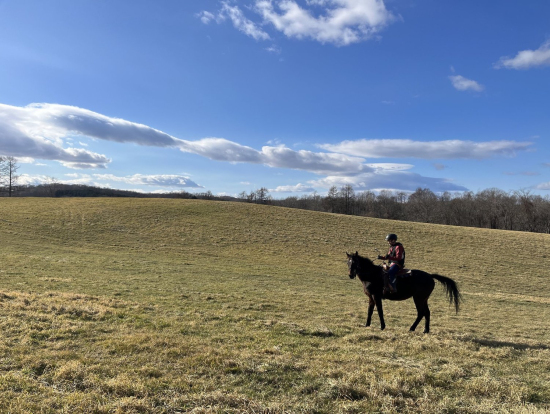 ハートランチ（高台）