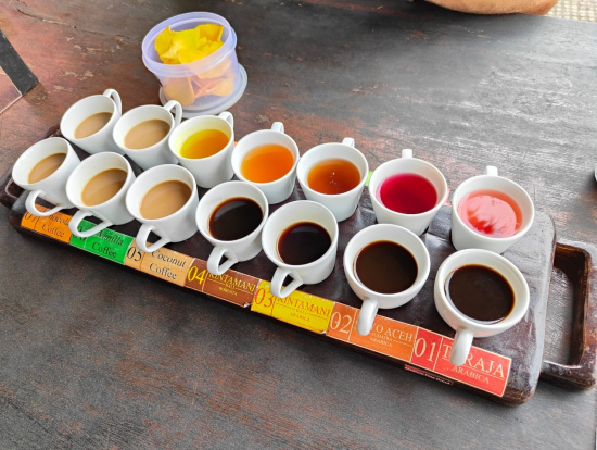 コーヒーの試飲