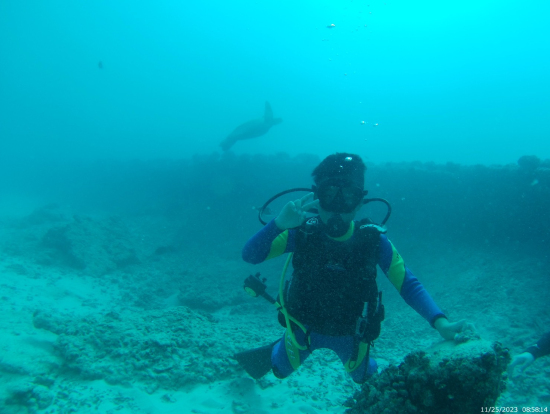 楽しかったです！