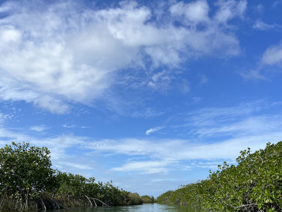 シアン・カアン