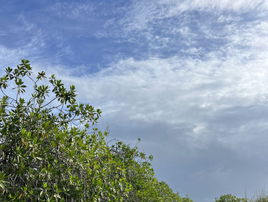 シアン・カアンの川下り