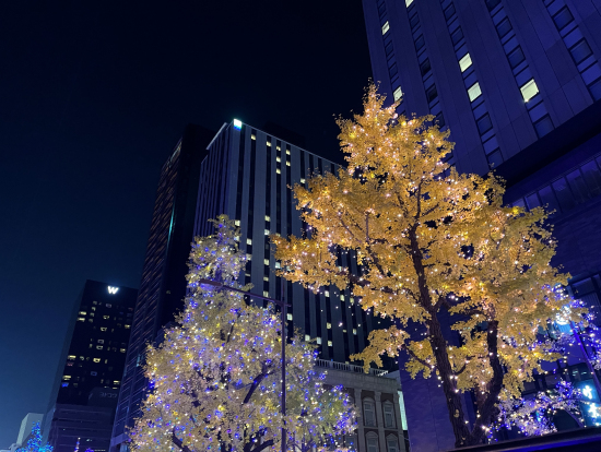 夜空に光が放ちます。