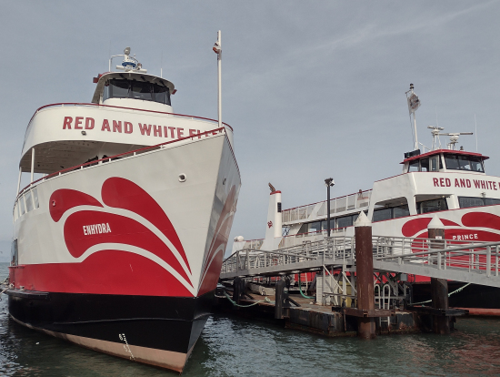 クルーズツアーで使用される船です