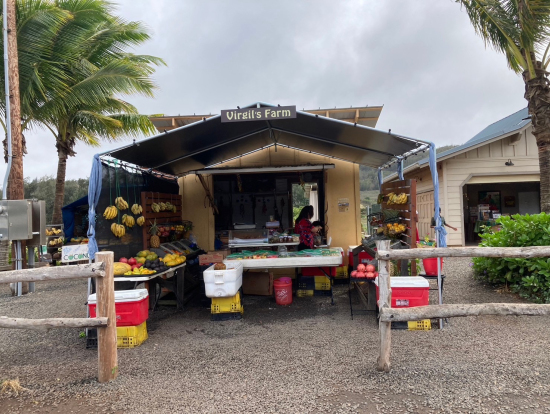 珍しいバナナを食べました