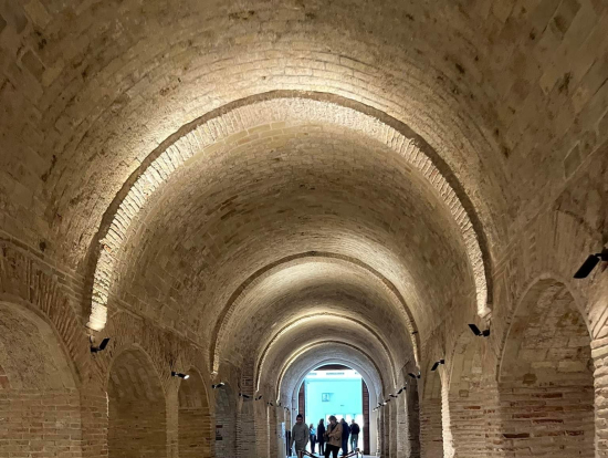 内装も素晴らしいバルドー博物館