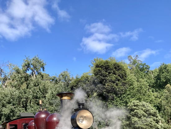 パッフィンビリーの蒸気機関車