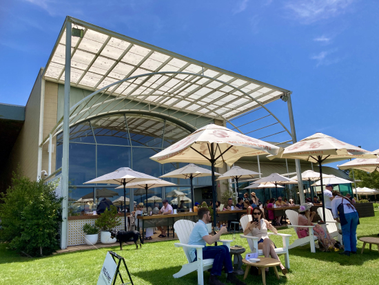 シャンドンのワイナリー