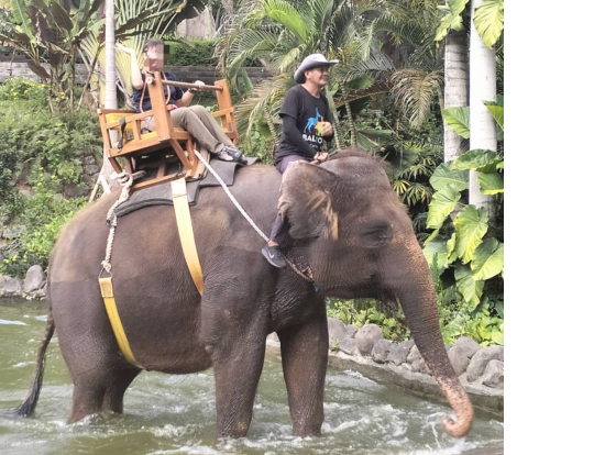 ゴローさんが撮った写真です。