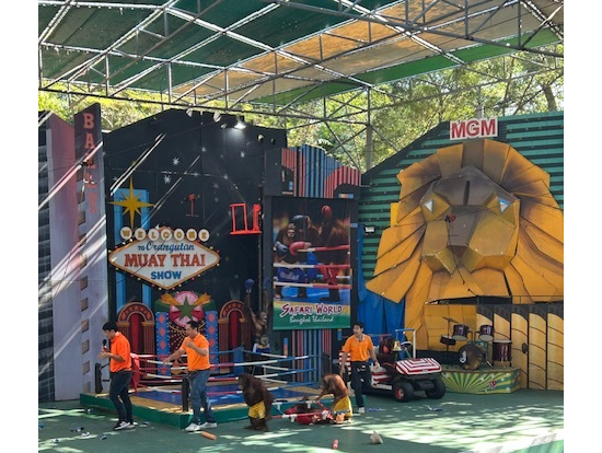 オラウータンのムエタイショー