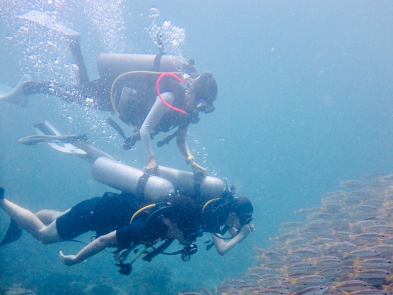 ダイバーがしっかりサポート