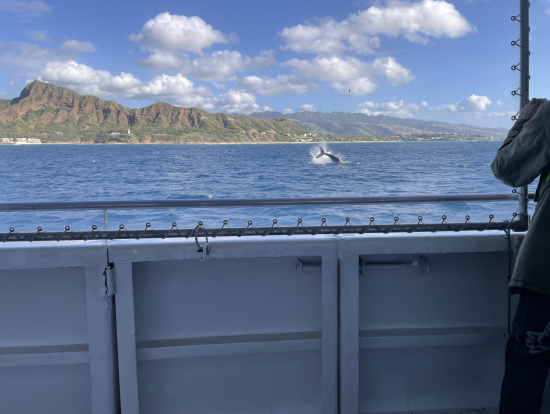 店内椅子からのクジラ