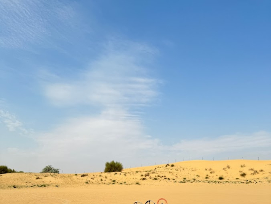 ラクダ乗り体験