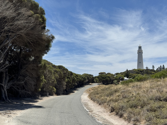 写真の左側の木陰にクオッカがいました