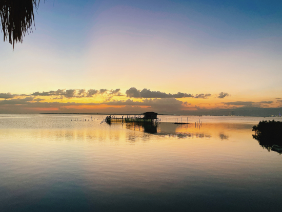 サンセットです