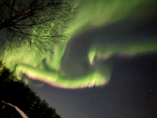 本当によく見えて楽しかったです!