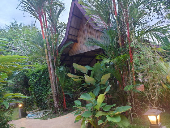 雰囲気の良いミストサウナ