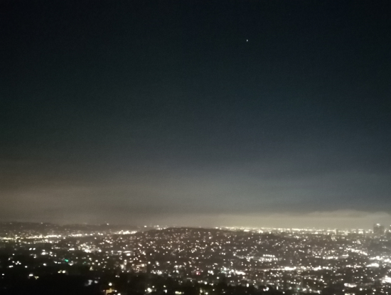 グリフィス(一番オススメ)