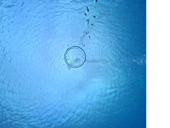 ガイドさんが作ってくれた輪っか。流石にこの中をくぐることはできませんでした(笑