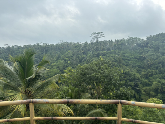 コーヒーを飲んだ plantation から見えたジャングルの景色です。