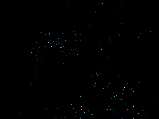 土ボタル iPhone夜景モード