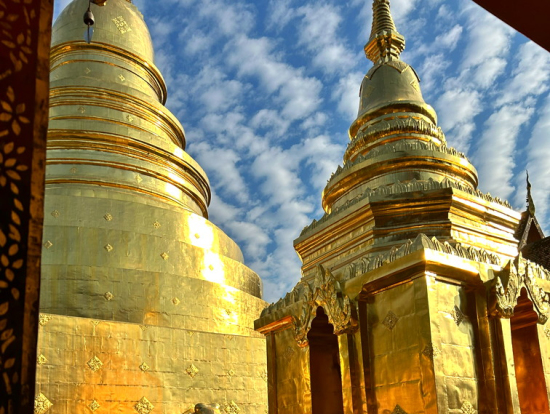 ワットプラシン