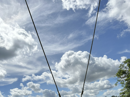 バリスウィング