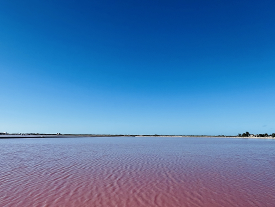青とピンクの綺麗なグラデーション