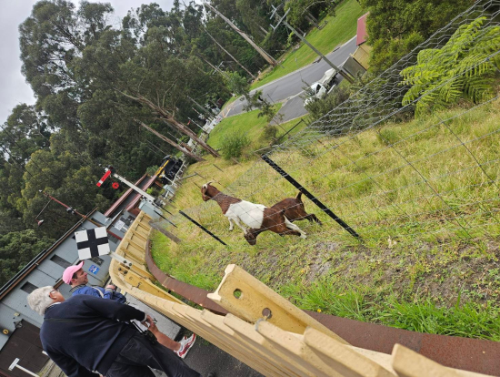 ホームの隣にはヤギがいました。