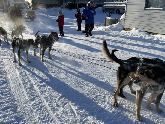 パワフルなワンちゃん！