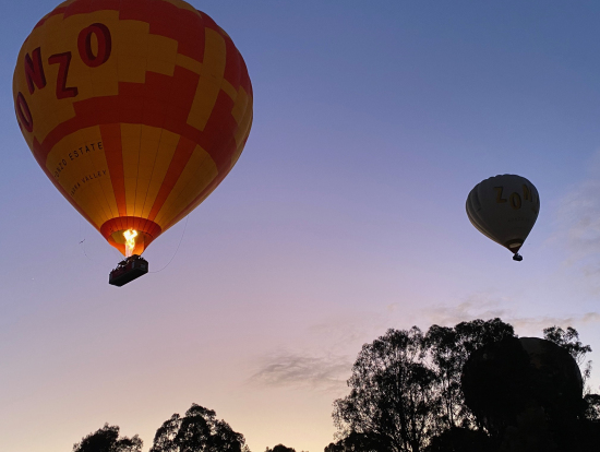 飛び立っていきました