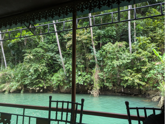 ランチクルーズの風景です。