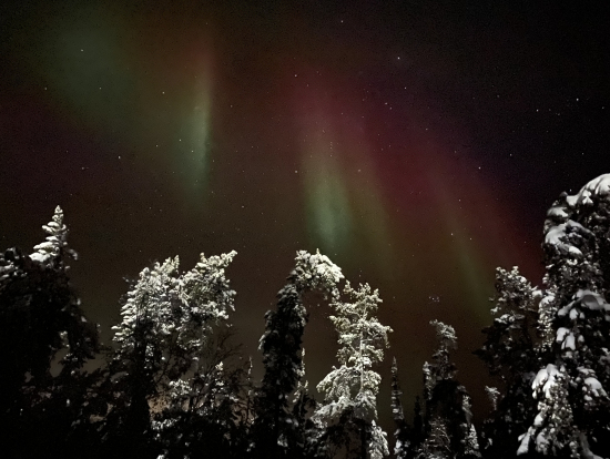 iPhone11proで撮影