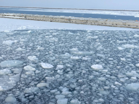 港の中の流氷