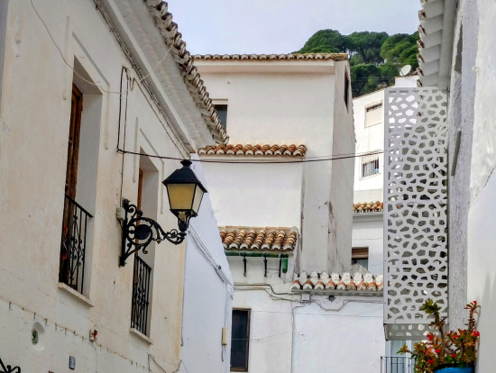 どこを撮影しても綺麗です。