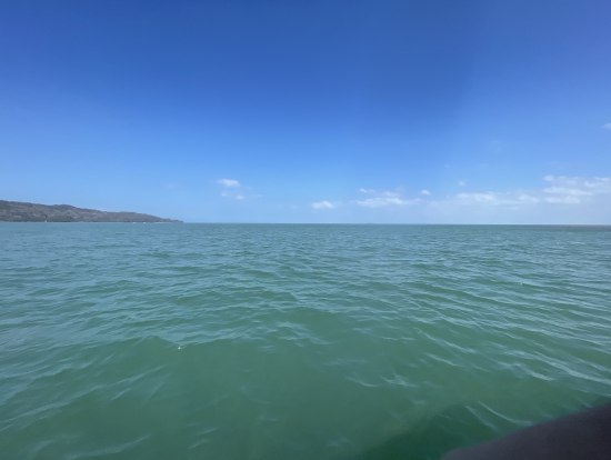 海に出て魚釣り