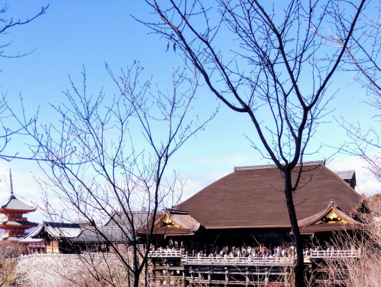 清水の舞台を望む