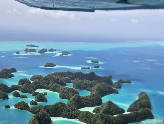 パラオの美しい島々