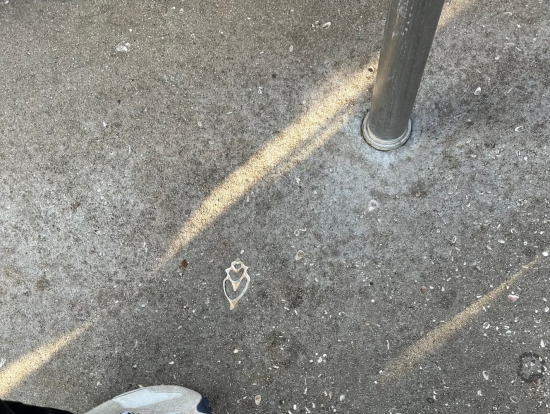 California Disney 1st visit!!