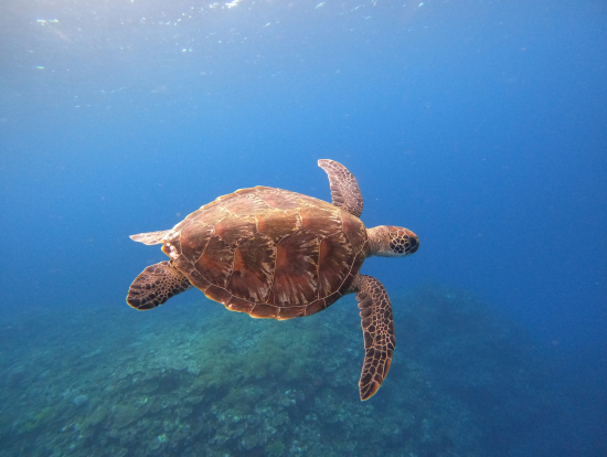 インストラクターさんの撮影