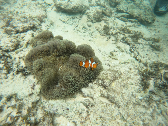 インストラクターさんの撮影