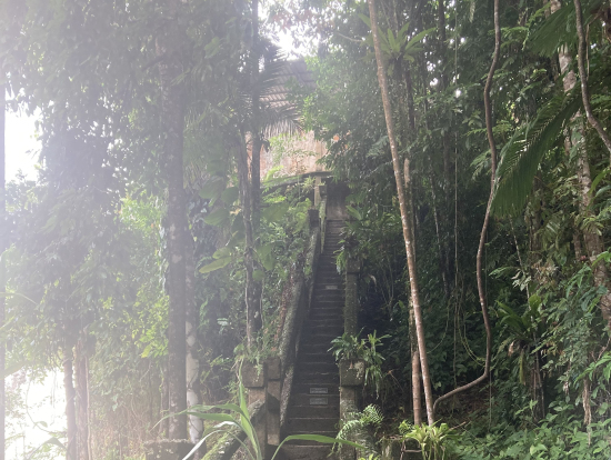 マイナスイオンたっぷり