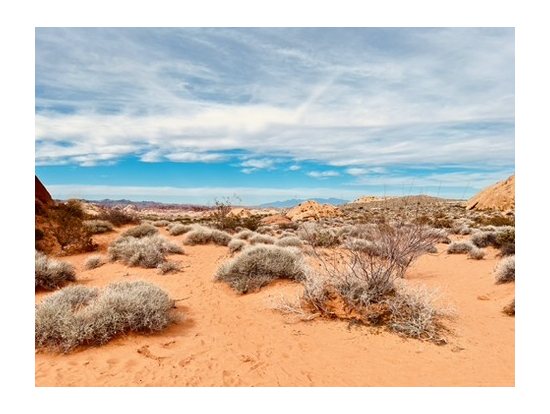 バレーオブファイアー