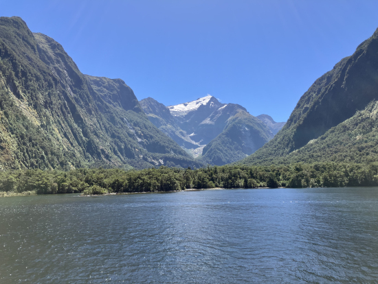 クルーズ船からの景色