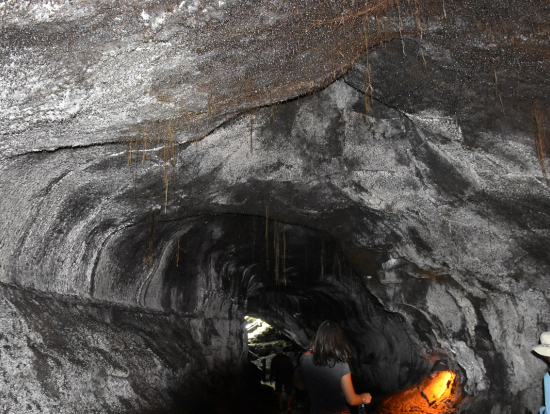 サーストン・ラバ・チューブ